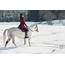 Cold Weather Horseback Riding Tips  The Farm House Inc