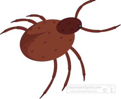 Tick Insect Clipart Classroom Clipart