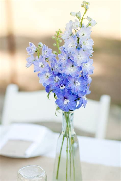 Blue Delphinium Wedding Flower Arrangements Blue Wedding