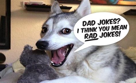 20 Of The Best Or Worst Funny And Clean Dad Jokes For Fathers Day