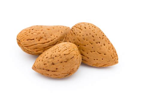 Premium Photo Three Delicious Almonds With Shell