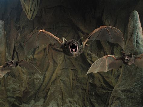 Vampire Bat Wallpaper Wallpapersafari