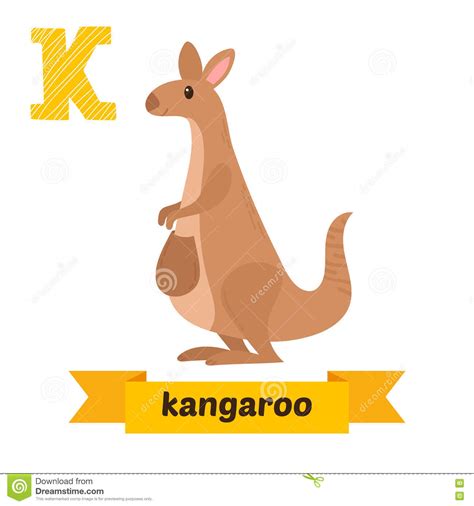 Kangaroos (macropus rufus) are a marsupial that lives in australia. Kangaroo. K Letter. Cute Children Animal Alphabet In Vector. Fun Stock Vector - Illustration of ...