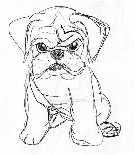 Angry Puppy Sketch By Kistrix On Deviantart