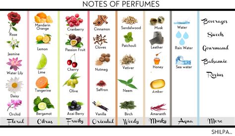 The Perfect Guide To Perfume Notes And How To Choose Em