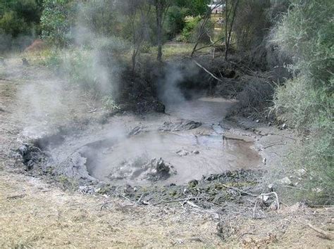 Bubbling Mud Pools In Rotorua Picture Of Rotorua Rotorua District Tripadvisor