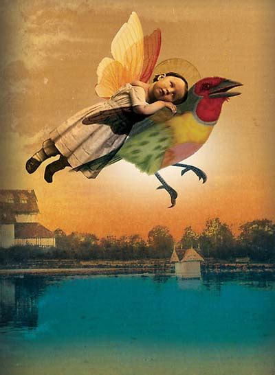 Pursuit Of Happiness Catrin Welz Stein