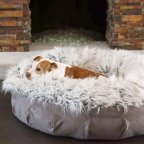 Faux Fur Shag Puff Companion Pedic® Luxury Dog Bed Dog Bed