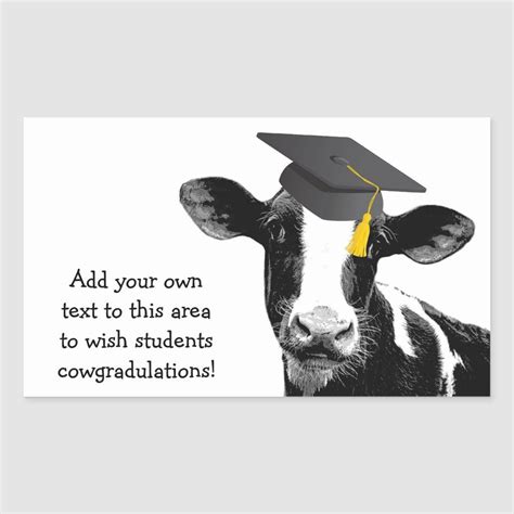 Congratulations Graduation Funny Cow In Cap Rectangular Sticker