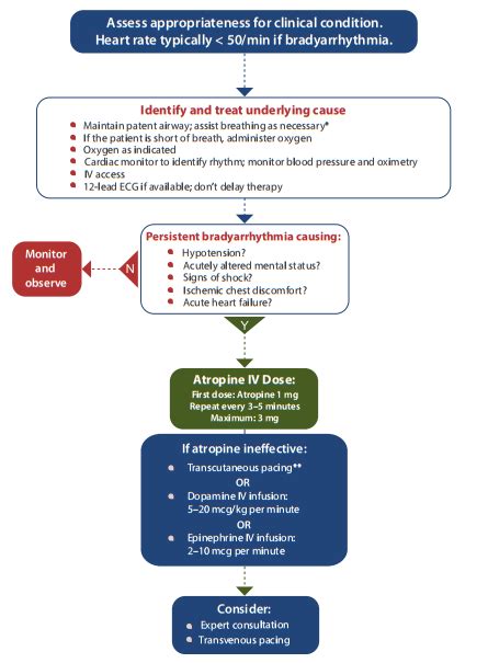 Resumo De Bradicardia Diagnóstico Tratamento E Mais