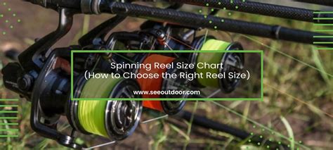Spinning Reel Size Chart How To Choose The Right Reel Size