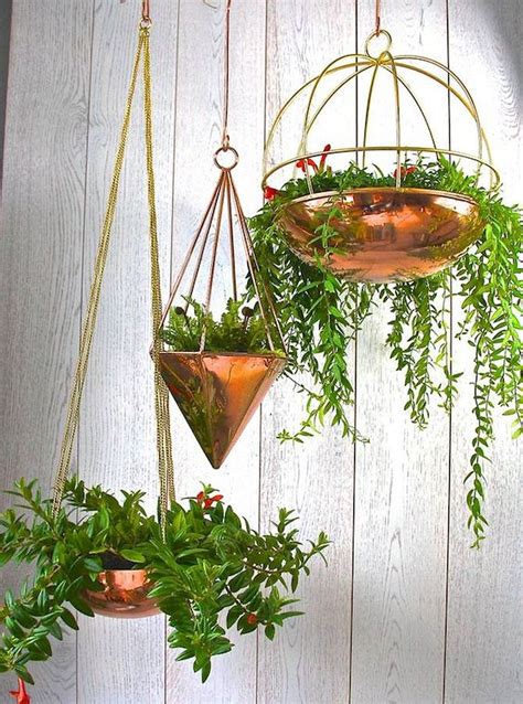 Adorable Indoor Hanging Plants To Decorate Your Home Hanging