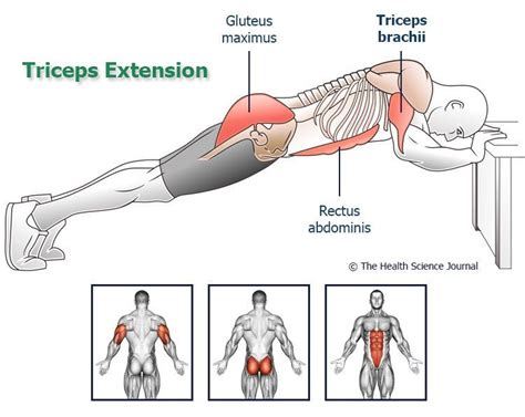 Bodyweight Tricep Exercises And Bodyweight Bicep Exercises How To Get