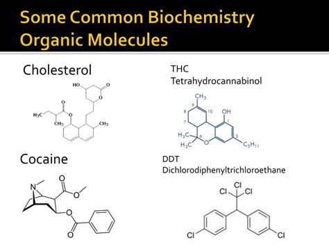 Ppt Some Common Biochemistry Organic Molecules Powerpoint