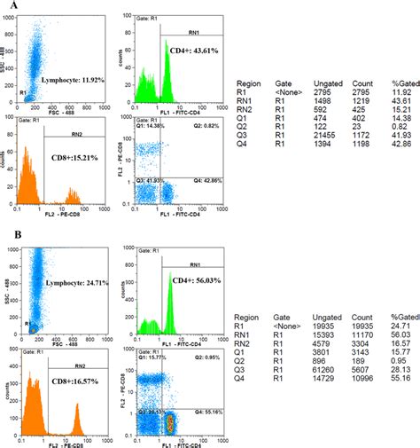 Flow Cytometry Gating Strategy For Cd4⁺ And Cd8⁺ Cells Lymphocytes