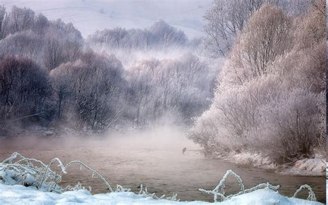 Nature Landscape Winter Mist River Trees Birds Snow