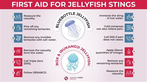 Jellyfish Stings First Aid
