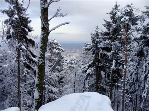 Free Images Landscape Forest Path Snow Winter Sky Trail Ice