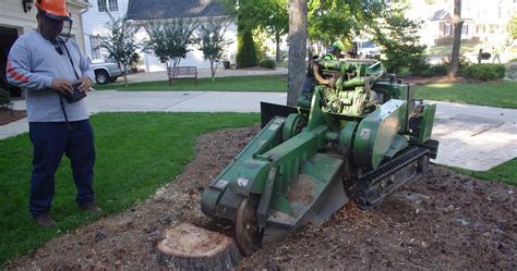 Sams Tree Services Offer Competitive Stump Grinding Quotes
