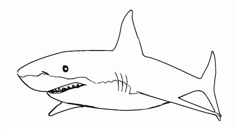 A hammerhead shark coloring page! Pin on Montessori Summer - Biology