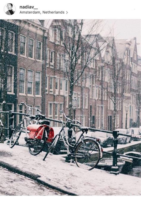 The Ultimate Dutch Winter Wonderland Photo Report Dutchreview