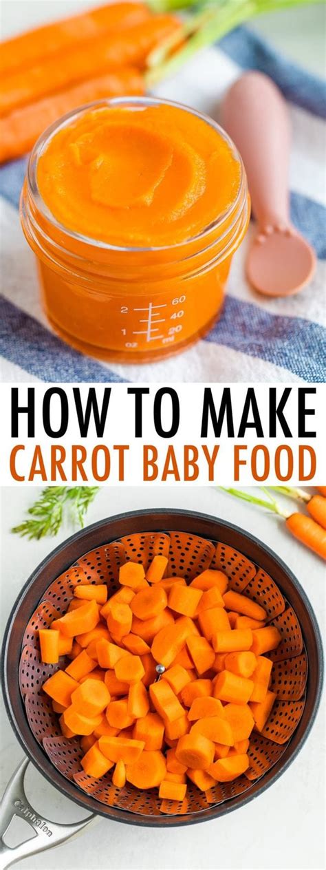 How To Make Carrot Baby Food Carrot Puree Eating Bird Food