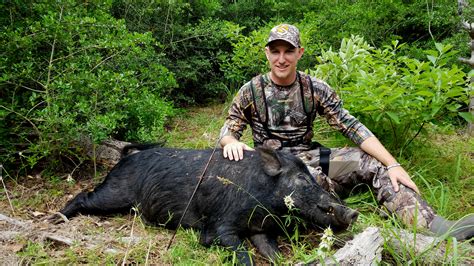 Texas Hog Hunting The Best And Most Complete Hunting Tips