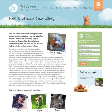Use this case study sample base. Sample Case Study - 5 Example Case Studies for Inspiration
