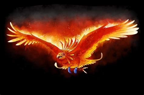 Le Véritable Oiseau Phoenix Créature Mythique Grecque Petsnurturing