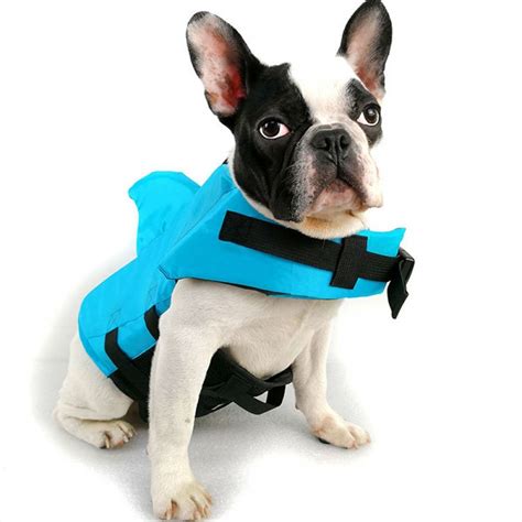 Complete the look and wrap up this winter with cosy styles. Pet's Safety Swimming Jacket | Dog swimming, Dog life vest ...