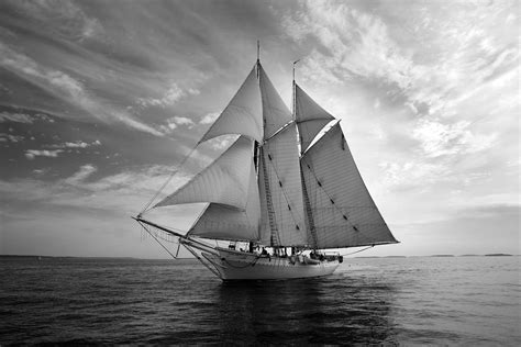 Ann Cutting Photography Mary Day Schooner Under Sail In Maine