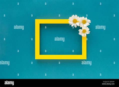 Yellow Border Blank Photo Frame Decorated With White Daisy Flowers Blue