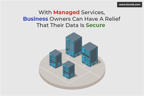 Fully Managed Hosting A Boon For Your Business Solutions Temok