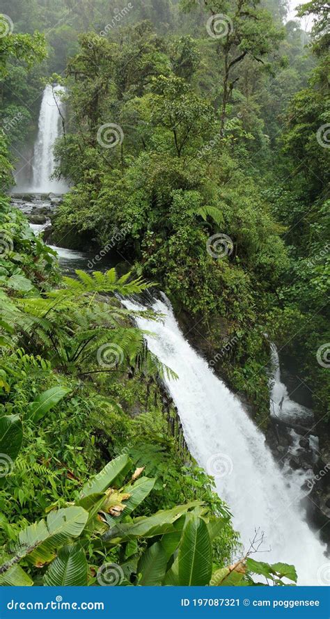 Series Of Waterfalls In A Costa Rican Rainforest Stock Image Image Of