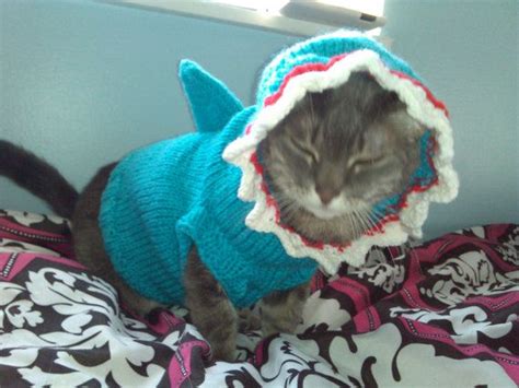 Hand Knit Shark Costume For Cats Or Small Dogs Multiple Etsy In 2021