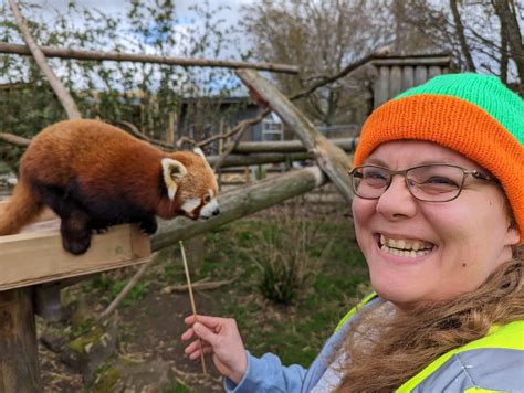 I got to meet red pandas today! (Excuse my weird face please) : r