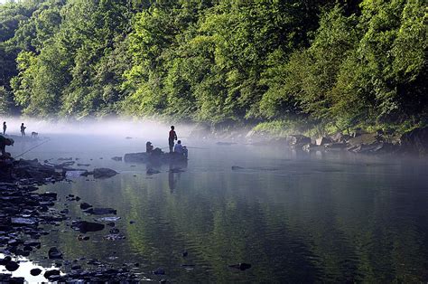 Maybe you would like to learn more about one of these? Ontario's Fisheries: Significant Contributors to the ...