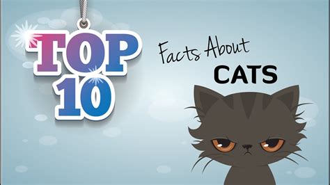 Maybe you would like to learn more about one of these? 10 Cool Cat Facts - Purrform.com