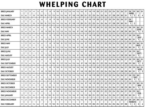 Puppy Weight Chart Printable
