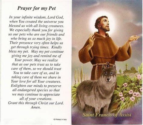 Catholic Prayer For Loss Of Pet Pets Reference