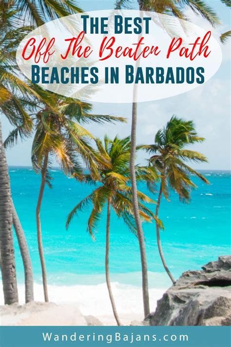 The Best Off The Beaten Path Beaches You Must Visit In Barbados Artofit