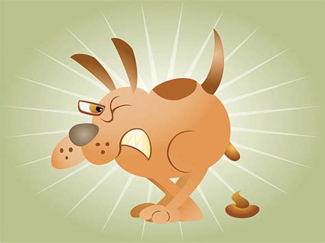 Collanders Cartoons Illustrations Royalty Free Vector Graphics And Clip