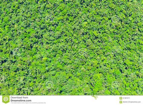 Andean Rainforest Aerial Shot Stock Image Image Of Nature Bright