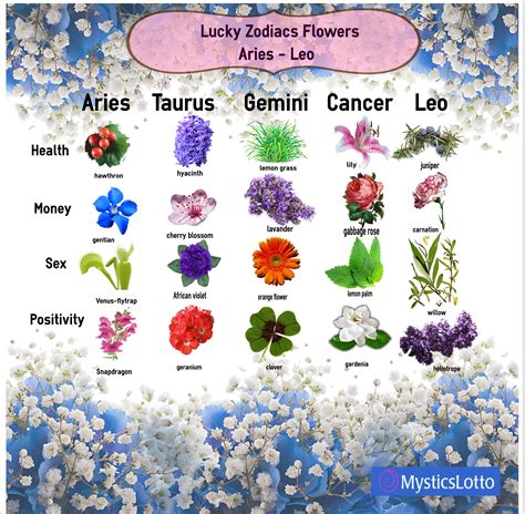 Zodiac Sign Lucky Flowers