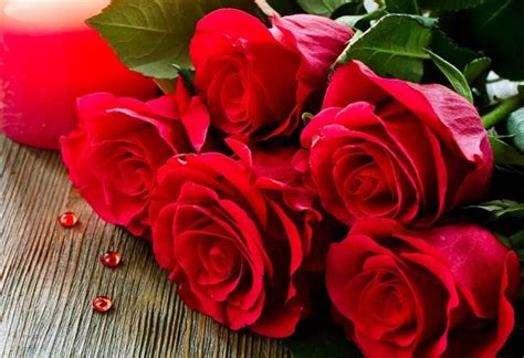 Interesting Facts About Roses Flower Shop
