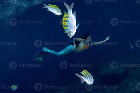 Mermaid Swimming Underwater In The Deep Blue Sea With Fishes 12184289