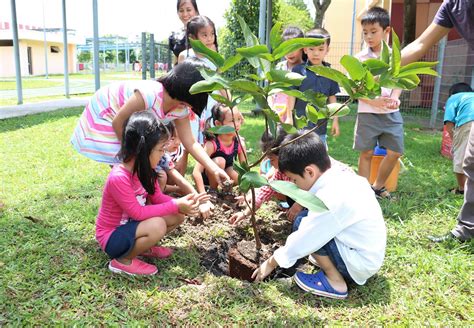 Students Planting Trees In Celebration Of International Childrens Day