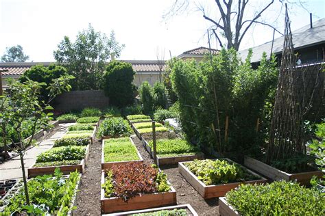 The Urban Homestead Urban Farming Urban Homesteading Amazing Gardens