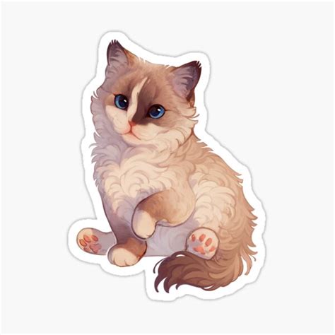 Ragdoll Kitten Sticker For Sale By Giulialibard Redbubble
