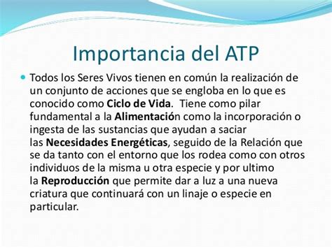 Atp Y Su Función En Los Seres Vivos